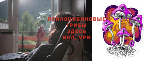 эйфоретик Алексеевка