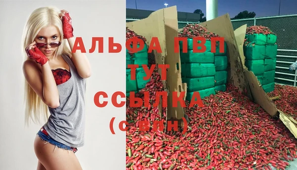 тгк Алзамай