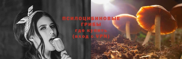 тгк Алзамай