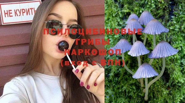 тгк Алзамай