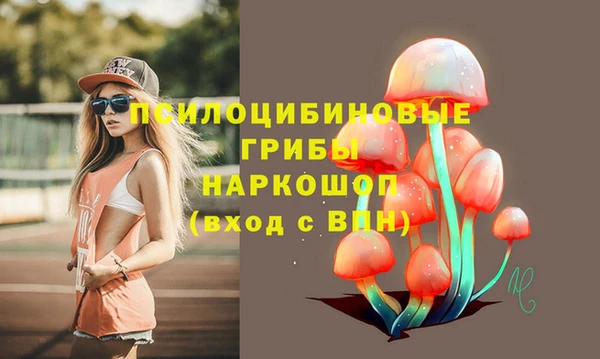 наркотики Алексин